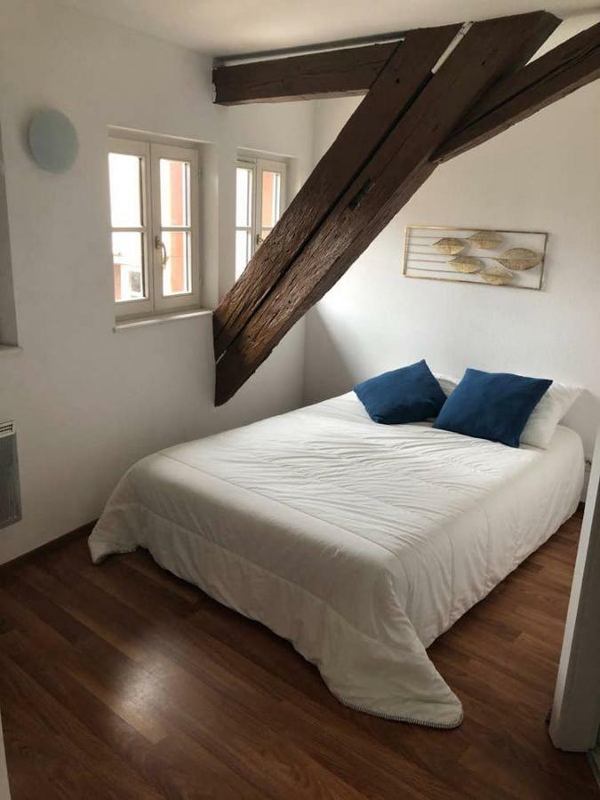Appartement Avec Balcon Centre Ville Strasbourg Kültér fotó