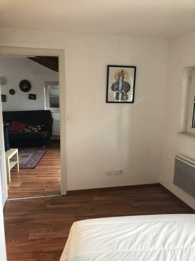 Appartement Avec Balcon Centre Ville Strasbourg Kültér fotó